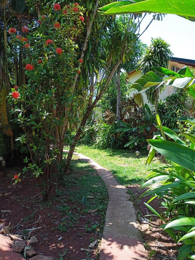 Garden Stone Hostel Puerto Iguazu Bagian luar foto