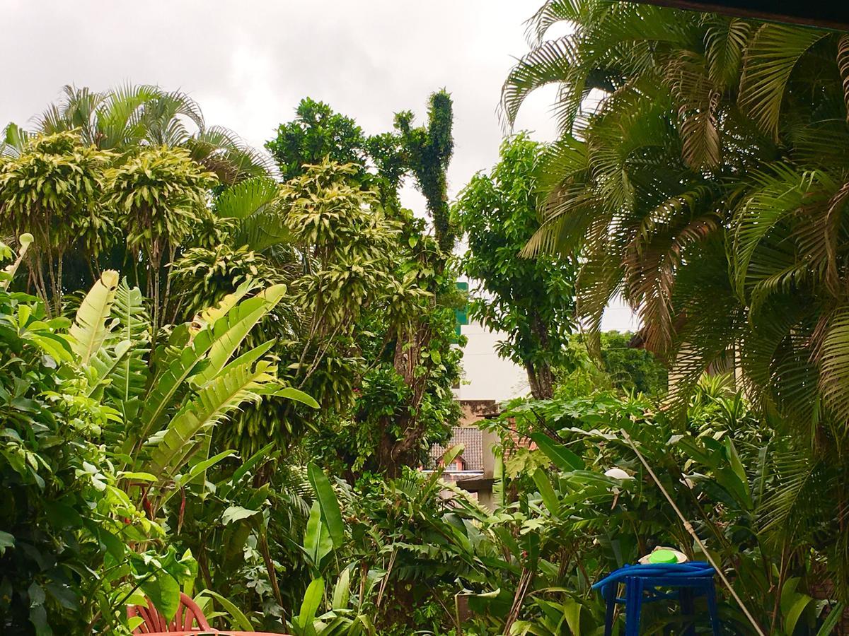 Garden Stone Hostel Puerto Iguazu Bagian luar foto